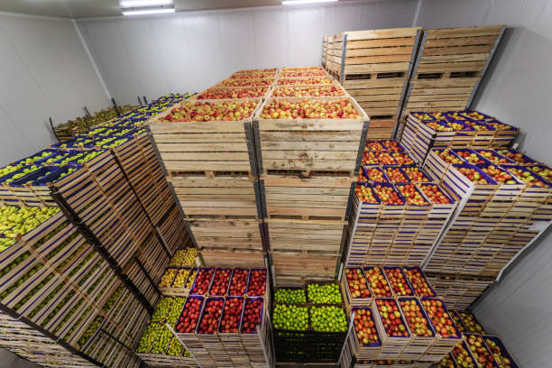 Agricultural products like palm oil, cassava, maize